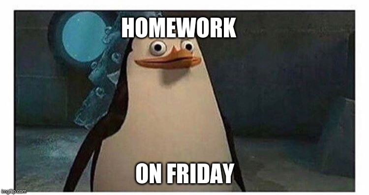 Stupid pinguin | HOMEWORK; ON FRIDAY | image tagged in stupid pinguin | made w/ Imgflip meme maker