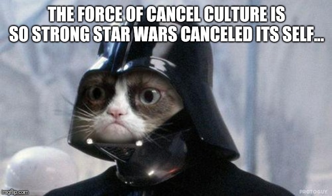 Grumpy Cat Star Wars | THE FORCE OF CANCEL CULTURE IS SO STRONG STAR WARS CANCELED ITS SELF... | image tagged in memes,grumpy cat star wars,grumpy cat,star wars,joke,cat | made w/ Imgflip meme maker