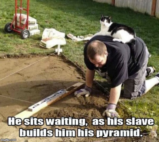 image tagged in funny,memes | made w/ Imgflip meme maker