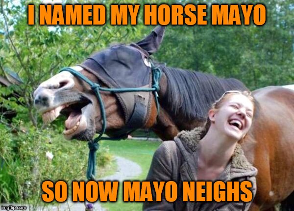 Laughing Horse |  I NAMED MY HORSE MAYO; SO NOW MAYO NEIGHS | image tagged in laughing horse | made w/ Imgflip meme maker