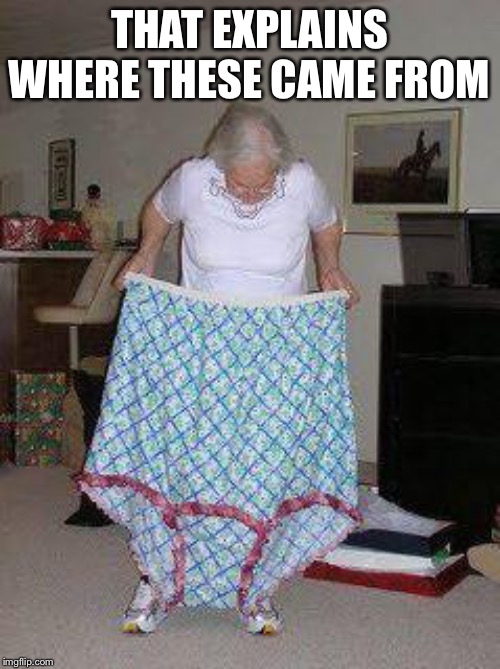 Big girl panties | THAT EXPLAINS WHERE THESE CAME FROM | image tagged in big girl panties | made w/ Imgflip meme maker