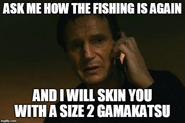 Liam neeson phone call | ASK ME HOW THE FISHING IS AGAIN; AND I WILL SKIN YOU WITH A SIZE 2 GAMAKATSU | image tagged in liam neeson phone call | made w/ Imgflip meme maker