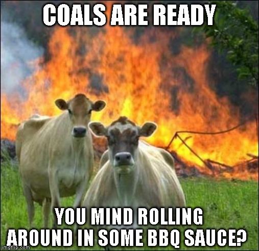 Evil Cows Meme | COALS ARE READY YOU MIND ROLLING AROUND IN SOME BBQ SAUCE? | image tagged in memes,evil cows | made w/ Imgflip meme maker