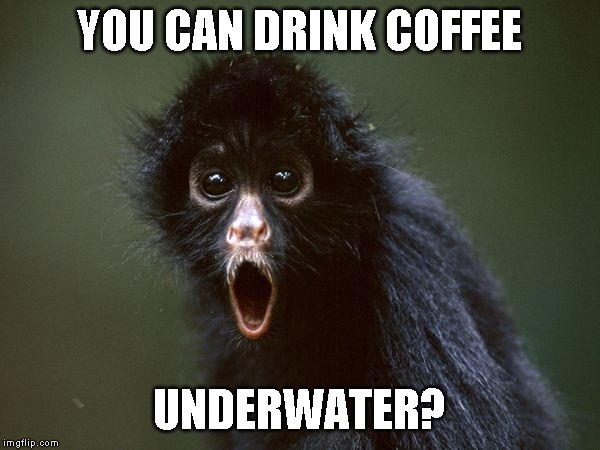 ooooh | YOU CAN DRINK COFFEE UNDERWATER? | image tagged in ooooh | made w/ Imgflip meme maker