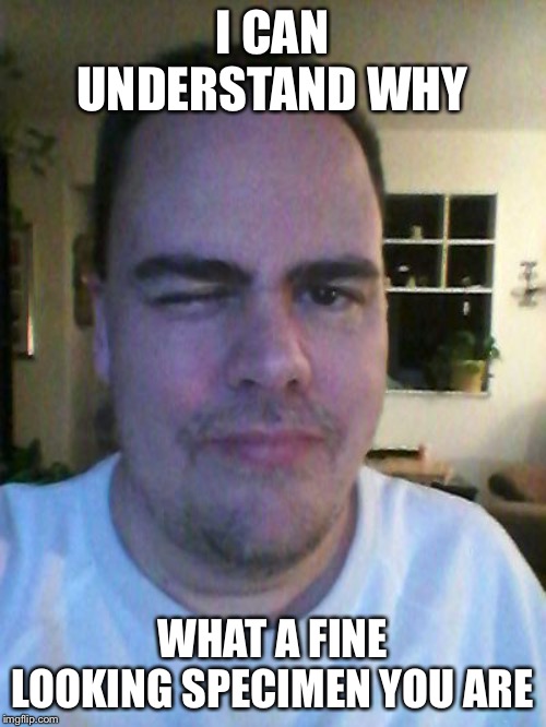 wink | I CAN UNDERSTAND WHY WHAT A FINE LOOKING SPECIMEN YOU ARE | image tagged in wink | made w/ Imgflip meme maker