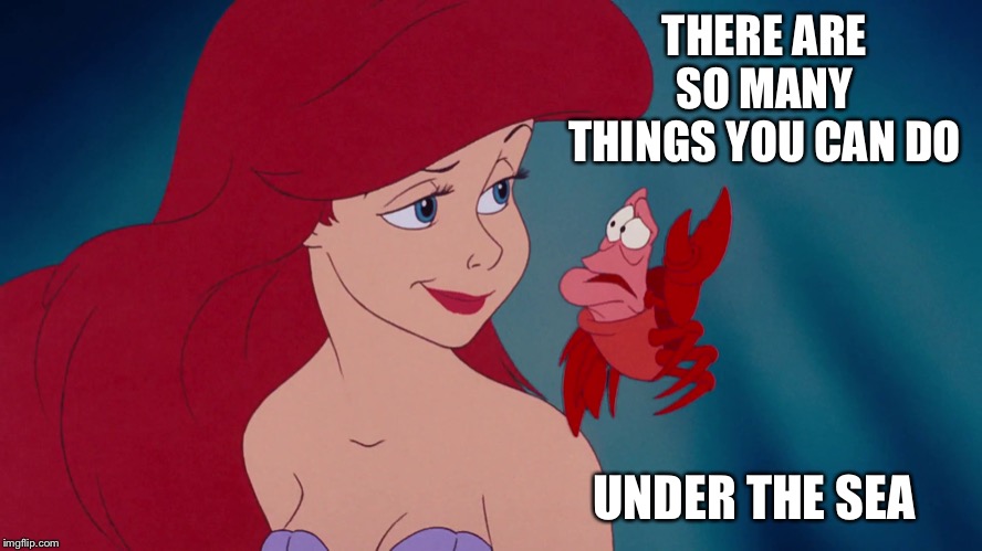 Skeptical Ariel | THERE ARE SO MANY THINGS YOU CAN DO UNDER THE SEA | image tagged in skeptical ariel | made w/ Imgflip meme maker