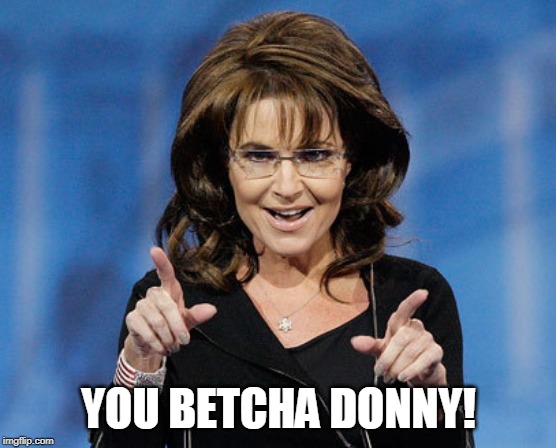 Sarah Palin Two Finger Pointing | YOU BETCHA DONNY! | image tagged in sarah palin two finger pointing | made w/ Imgflip meme maker