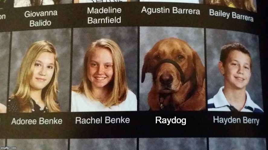 Raydog | made w/ Imgflip meme maker