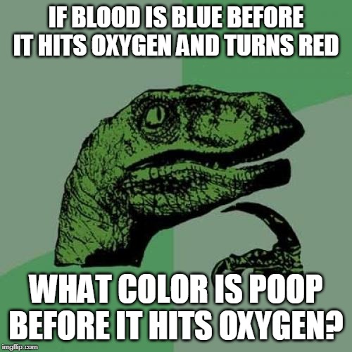 Does Oxygen Change the Color of More than Just Blood? | IF BLOOD IS BLUE BEFORE IT HITS OXYGEN AND TURNS RED; WHAT COLOR IS POOP BEFORE IT HITS OXYGEN? | image tagged in memes,philosoraptor,poop,blood | made w/ Imgflip meme maker