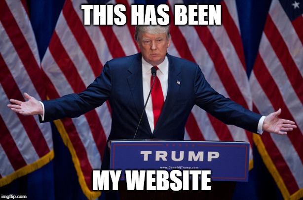 Donald Trump | THIS HAS BEEN; MY WEBSITE | image tagged in donald trump | made w/ Imgflip meme maker