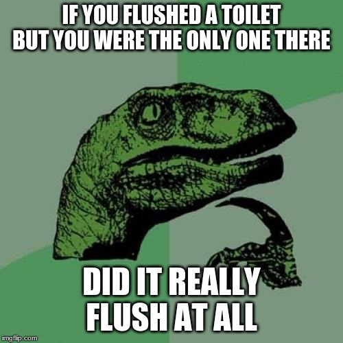 Philosoraptor Meme | IF YOU FLUSHED A TOILET BUT YOU WERE THE ONLY ONE THERE; DID IT REALLY FLUSH AT ALL | image tagged in memes,philosoraptor | made w/ Imgflip meme maker