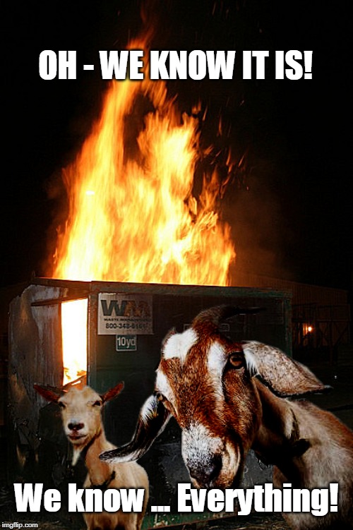 Dumpster Fire Goats | OH - WE KNOW IT IS! We know ... Everything! | image tagged in dumpster fire goats | made w/ Imgflip meme maker