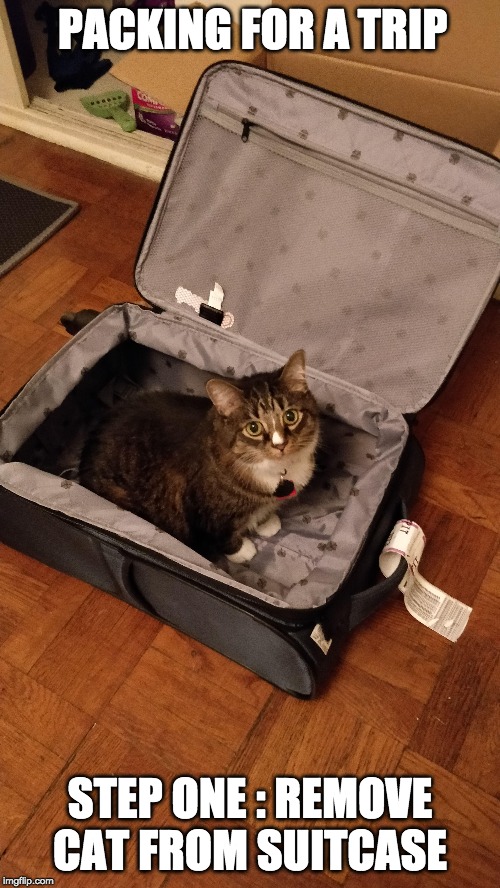 take me too! | PACKING FOR A TRIP; STEP ONE : REMOVE CAT FROM SUITCASE | image tagged in cat,suitcase,sits,cute | made w/ Imgflip meme maker