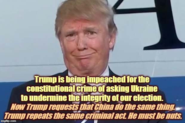 This crime committed against the Constitution on live TV in front of God and Man is still a crime. IT'S CALLED COLLUSION. | Trump is being impeached for the constitutional crime of asking Ukraine to undermine the integrity of our election. Now Trump requests that China do the same thing. Trump repeats the same criminal act. He must be nuts. | image tagged in donald trump,criminal,ukraine,china,constitution | made w/ Imgflip meme maker