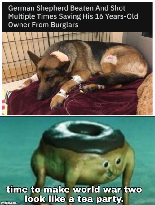 Poor Doggo | image tagged in memes | made w/ Imgflip meme maker