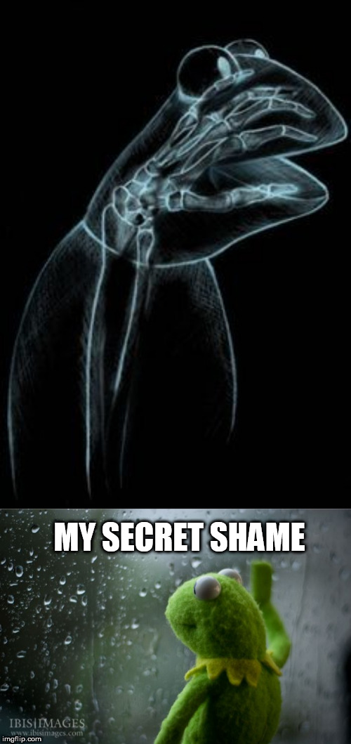 MY SECRET SHAME | image tagged in kermit window,kermit | made w/ Imgflip meme maker