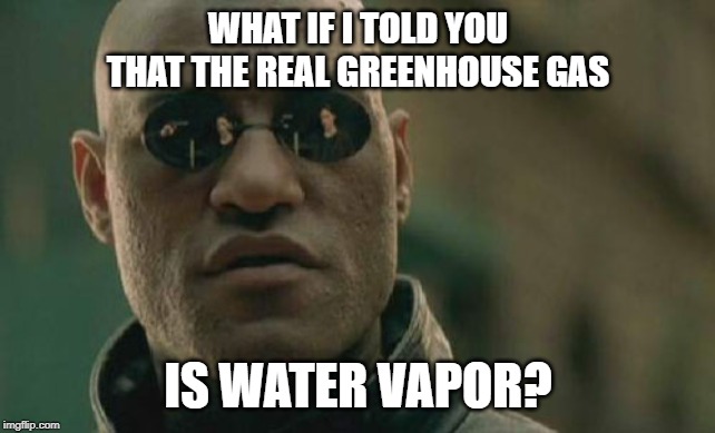 It's true... | WHAT IF I TOLD YOU THAT THE REAL GREENHOUSE GAS; IS WATER VAPOR? | image tagged in memes,matrix morpheus | made w/ Imgflip meme maker