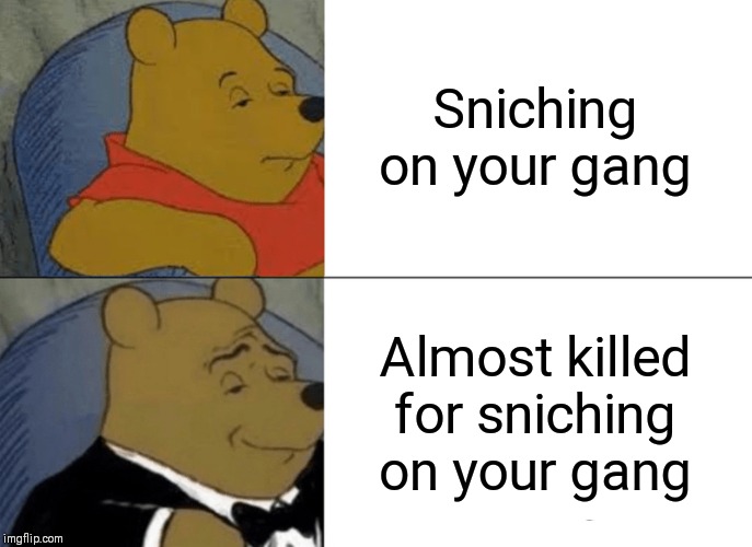 Tuxedo Winnie The Pooh | Sniching on your gang; Almost killed for sniching on your gang | image tagged in memes,tuxedo winnie the pooh | made w/ Imgflip meme maker