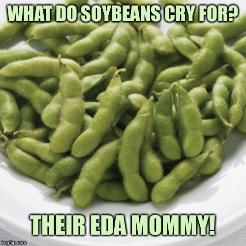 Soybeans | WHAT DO SOYBEANS CRY FOR? THEIR EDA MOMMY! | image tagged in memes,soybeans | made w/ Imgflip meme maker