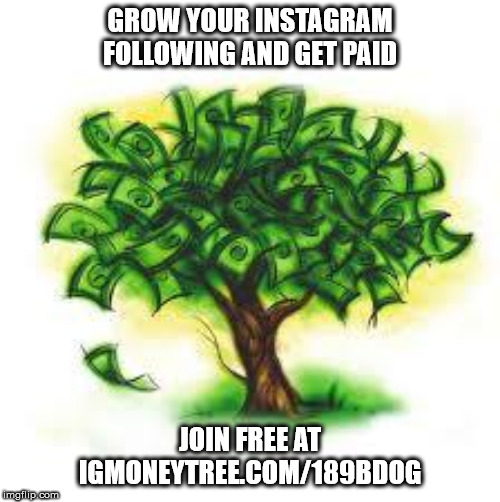 money tree | GROW YOUR INSTAGRAM FOLLOWING AND GET PAID; JOIN FREE AT
IGMONEYTREE.COM/189BDOG | image tagged in money tree | made w/ Imgflip meme maker