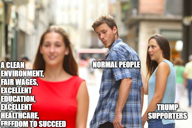Distracted Boyfriend | A CLEAN ENVIRONMENT, FAIR WAGES, EXCELLENT EDUCATION, EXCELLENT HEALTHCARE, FREEDOM TO SUCCEED; NORMAL PEOPLE; TRUMP SUPPORTERS | image tagged in memes,distracted boyfriend | made w/ Imgflip meme maker