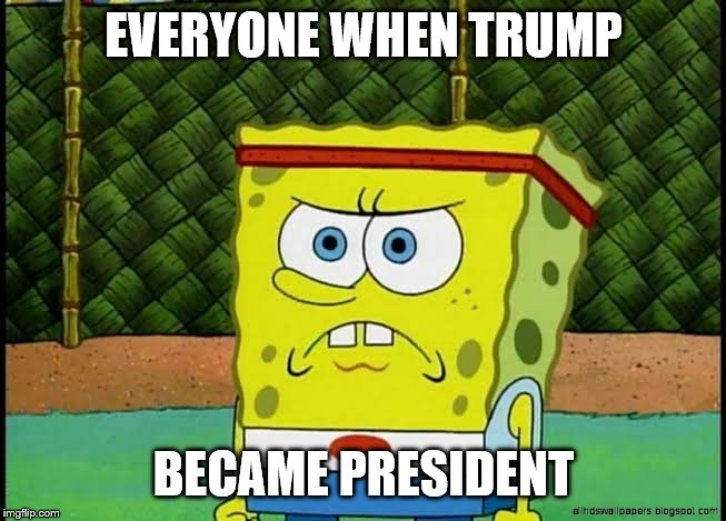 Angry political SpongeBob | EVERYONE WHEN TRUMP; BECAME PRESIDENT | image tagged in angry political spongebob | made w/ Imgflip meme maker