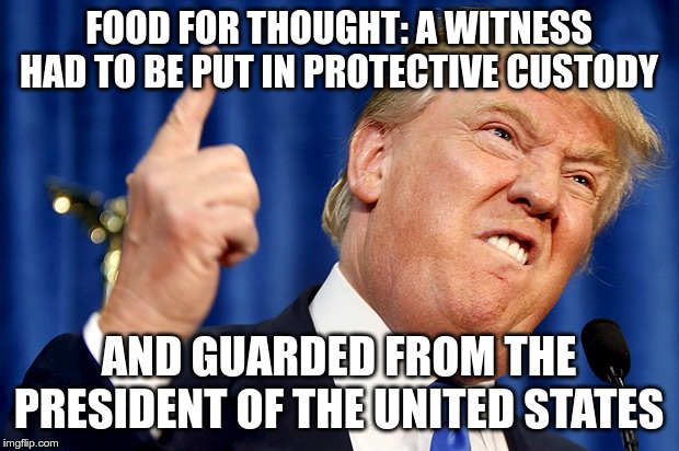 Donald Trump | FOOD FOR THOUGHT: A WITNESS HAD TO BE PUT IN PROTECTIVE CUSTODY; AND GUARDED FROM THE PRESIDENT OF THE UNITED STATES | image tagged in donald trump | made w/ Imgflip meme maker