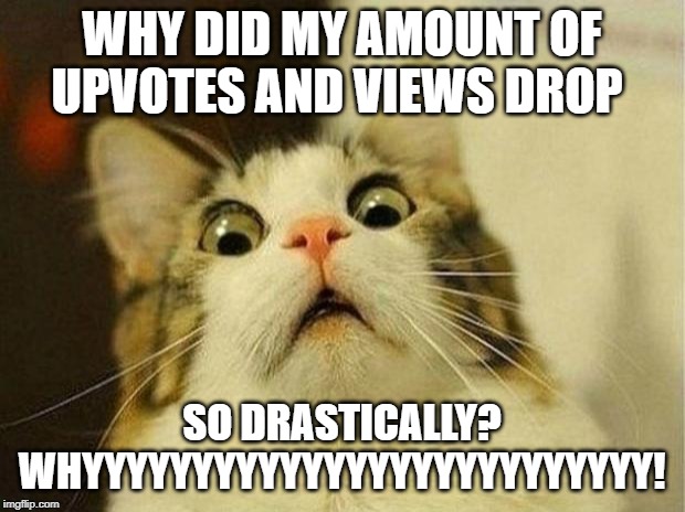 Scared Cat Meme | WHY DID MY AMOUNT OF UPVOTES AND VIEWS DROP; SO DRASTICALLY? WHYYYYYYYYYYYYYYYYYYYYYYYYYY! | image tagged in memes,scared cat | made w/ Imgflip meme maker