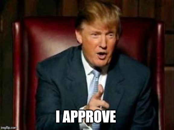 Donald Trump | I APPROVE | image tagged in donald trump | made w/ Imgflip meme maker