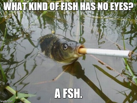 WHAT KIND OF FISH HAS NO EYES? A FSH. | made w/ Imgflip meme maker
