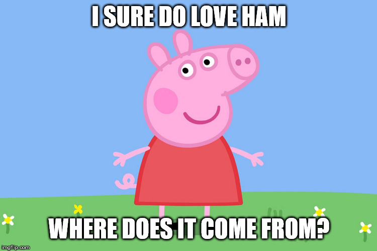 Peppa wants to know where ham comes from. | I SURE DO LOVE HAM; WHERE DOES IT COME FROM? | image tagged in peppa pig,cannibalism,funny | made w/ Imgflip meme maker