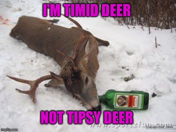 Drunk deer | I'M TIMID DEER NOT TIPSY DEER | image tagged in drunk deer | made w/ Imgflip meme maker