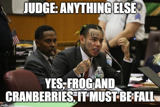 Tekashi snitching | JUDGE: ANYTHING ELSE; YES, FROG AND CRANBERRIES, IT MUST BE FALL | image tagged in tekashi snitching | made w/ Imgflip meme maker