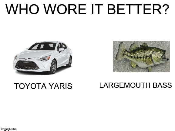 Blank White Template | WHO WORE IT BETTER? TOYOTA YARIS LARGEMOUTH BASS | image tagged in blank white template | made w/ Imgflip meme maker