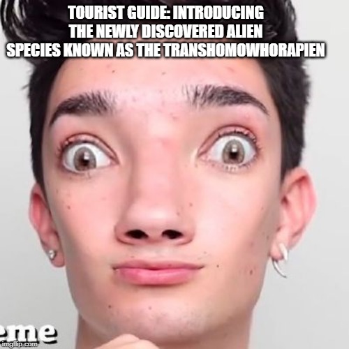 No Makeup James Charles | TOURIST GUIDE: INTRODUCING THE NEWLY DISCOVERED ALIEN SPECIES KNOWN AS THE TRANSHOMOWHORAPIEN | image tagged in no makeup james charles | made w/ Imgflip meme maker