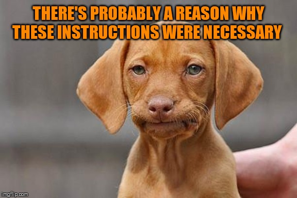 Dissapointed puppy | THERE'S PROBABLY A REASON WHY THESE INSTRUCTIONS WERE NECESSARY | image tagged in dissapointed puppy | made w/ Imgflip meme maker