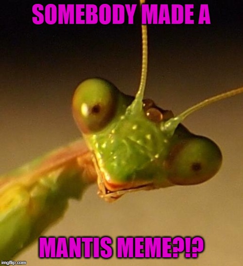 SOMEBODY MADE A MANTIS MEME?!? | made w/ Imgflip meme maker