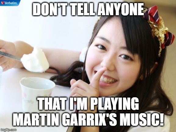 The honest truth.... | DON'T TELL ANYONE; THAT I'M PLAYING MARTIN GARRIX'S MUSIC! | image tagged in memes,minegishi minami2 | made w/ Imgflip meme maker
