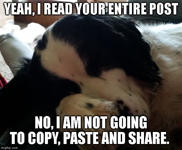 copy this | YEAH, I READ YOUR ENTIRE POST; NO, I AM NOT GOING TO COPY, PASTE AND SHARE. | image tagged in copy | made w/ Imgflip meme maker