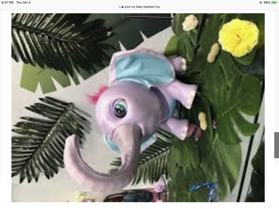High Quality Juno the Baby Elephant!! Blank Meme Template