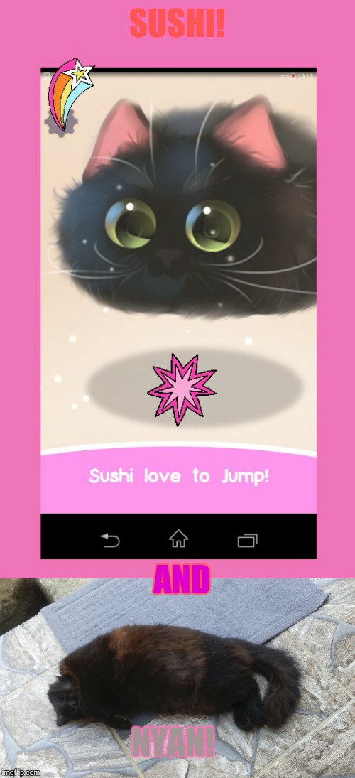 Sushi(interative cat wallpaper) and Nyan(my kitty)! | SUSHI! AND; NYAN! | image tagged in sushi | made w/ Imgflip meme maker