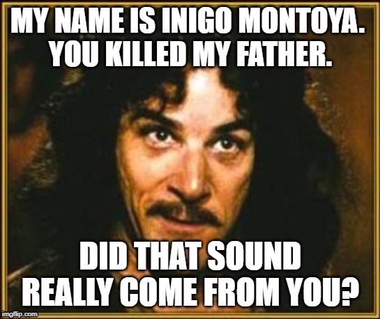 princess bride | MY NAME IS INIGO MONTOYA. 
YOU KILLED MY FATHER. DID THAT SOUND REALLY COME FROM YOU? | image tagged in princess bride | made w/ Imgflip meme maker