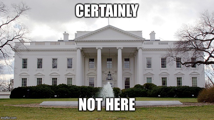 White House | CERTAINLY NOT HERE | image tagged in white house | made w/ Imgflip meme maker