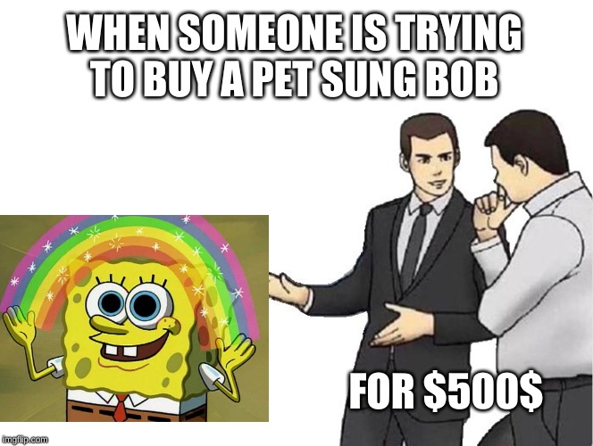 Car Salesman Slaps Hood | WHEN SOMEONE IS TRYING TO BUY A PET SUNG BOB; FOR $500$ | image tagged in memes,car salesman slaps hood | made w/ Imgflip meme maker