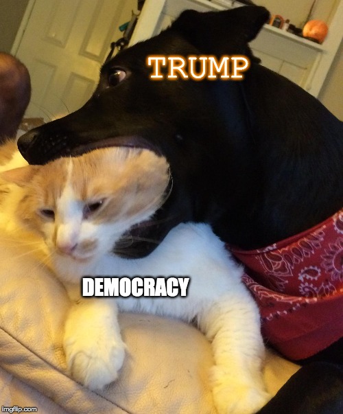 Trump is a bully | TRUMP; DEMOCRACY | made w/ Imgflip meme maker