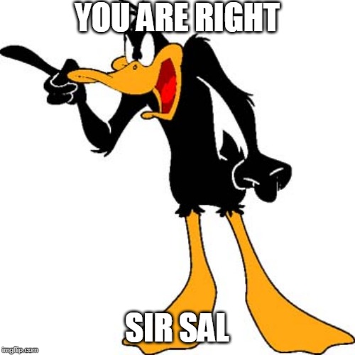 Daffy Duck 201 | YOU ARE RIGHT SIR SAL | image tagged in daffy duck 201 | made w/ Imgflip meme maker