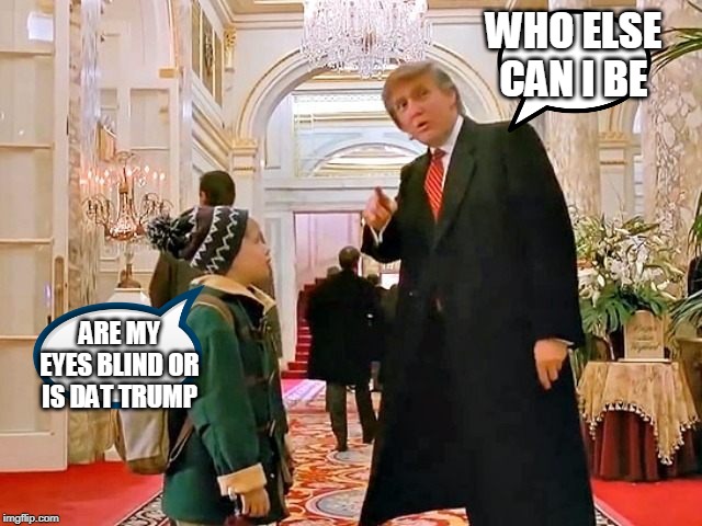 who else can i be | WHO ELSE CAN I BE; ARE MY EYES BLIND OR IS DAT TRUMP | image tagged in trump home alone | made w/ Imgflip meme maker