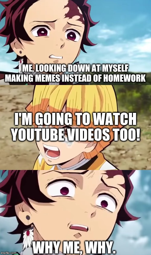 Why am I doing this to myself | ME, LOOKING DOWN AT MYSELF MAKING MEMES INSTEAD OF HOMEWORK; I'M GOING TO WATCH YOUTUBE VIDEOS TOO! WHY ME, WHY. | image tagged in memes,homework | made w/ Imgflip meme maker