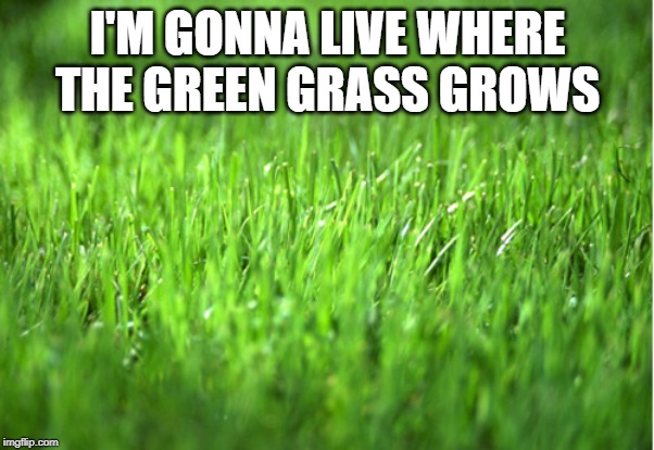 grass is greener | I'M GONNA LIVE WHERE THE GREEN GRASS GROWS | image tagged in grass is greener | made w/ Imgflip meme maker
