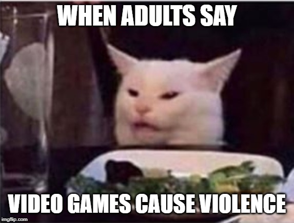 white dinner table cat | WHEN ADULTS SAY; VIDEO GAMES CAUSE VIOLENCE | image tagged in white dinner table cat | made w/ Imgflip meme maker